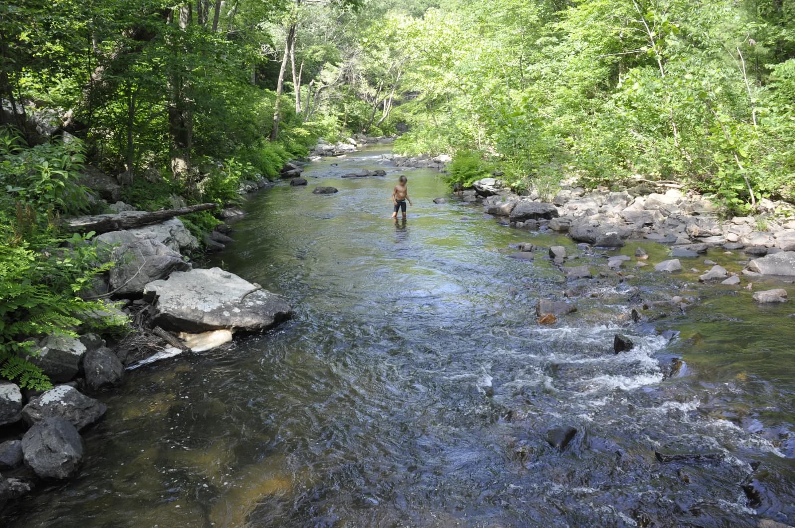 Blue Hole swimming hole near Bethel, Virginia