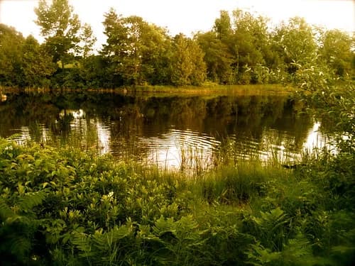 Richardi Park swimming hole near Bellaire, Michigan