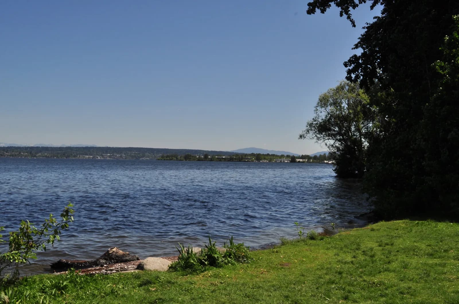 Matthews Beach Park swimming hole near Seattle, Washington