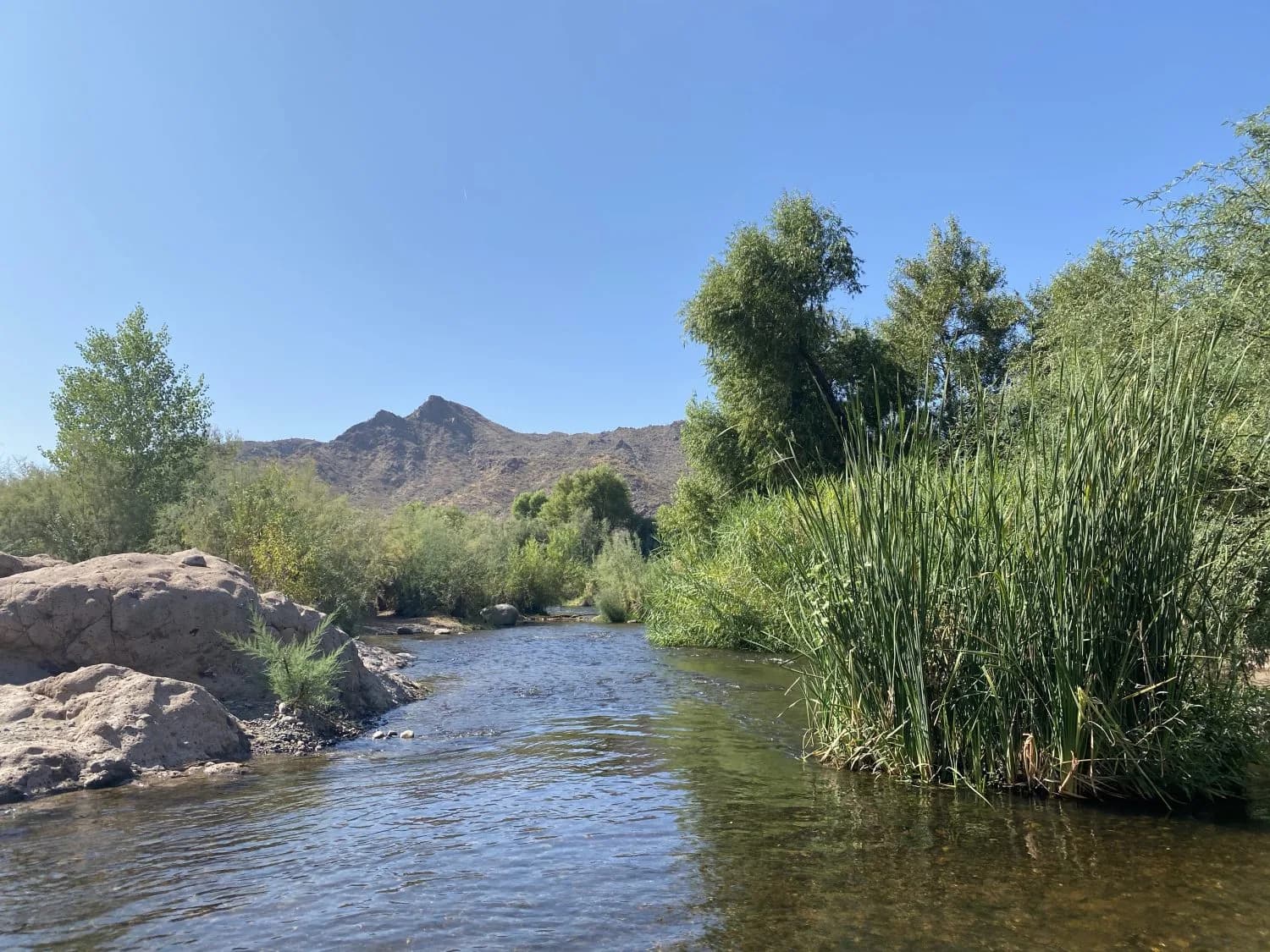 Phon D Sutton Recreation Area swimming hole near Mesa, Arizona