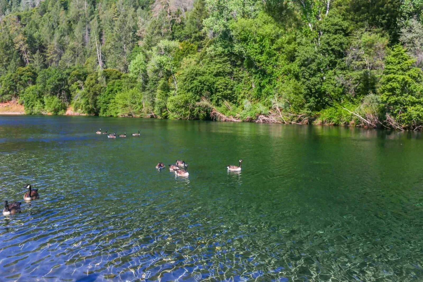 Upper Lake Clementine Beach swimming hole near Auburn, California