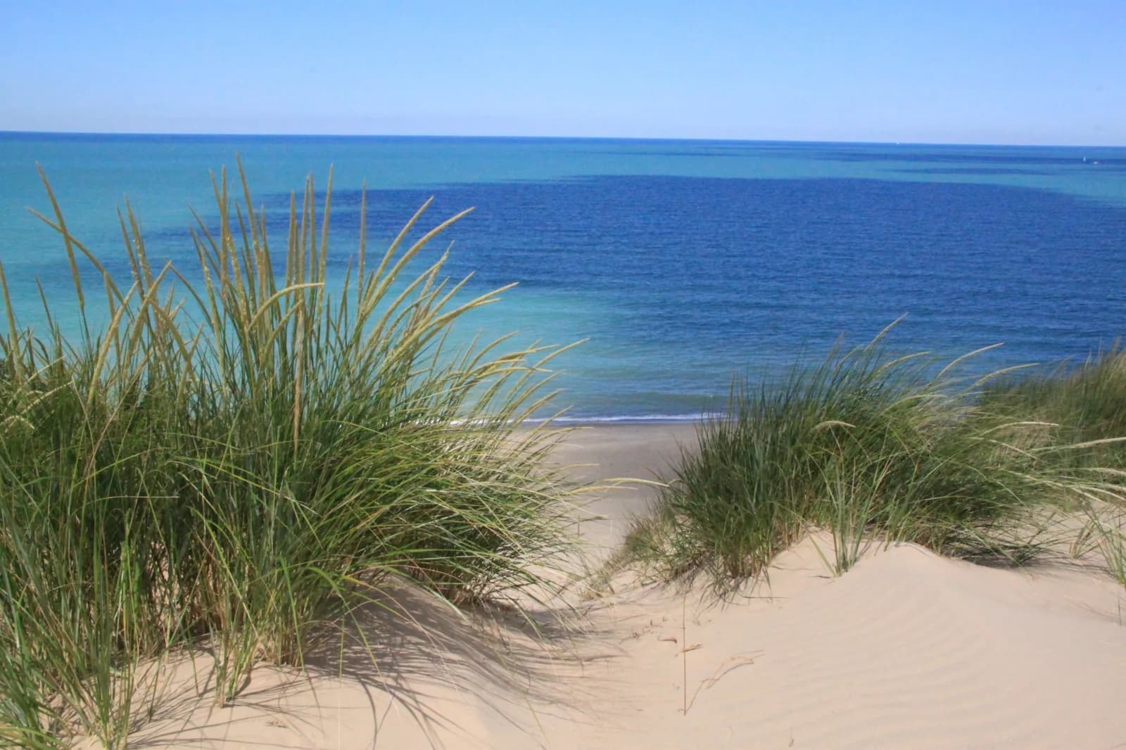 Mount Baldy swimming hole near Michigan City, Indiana