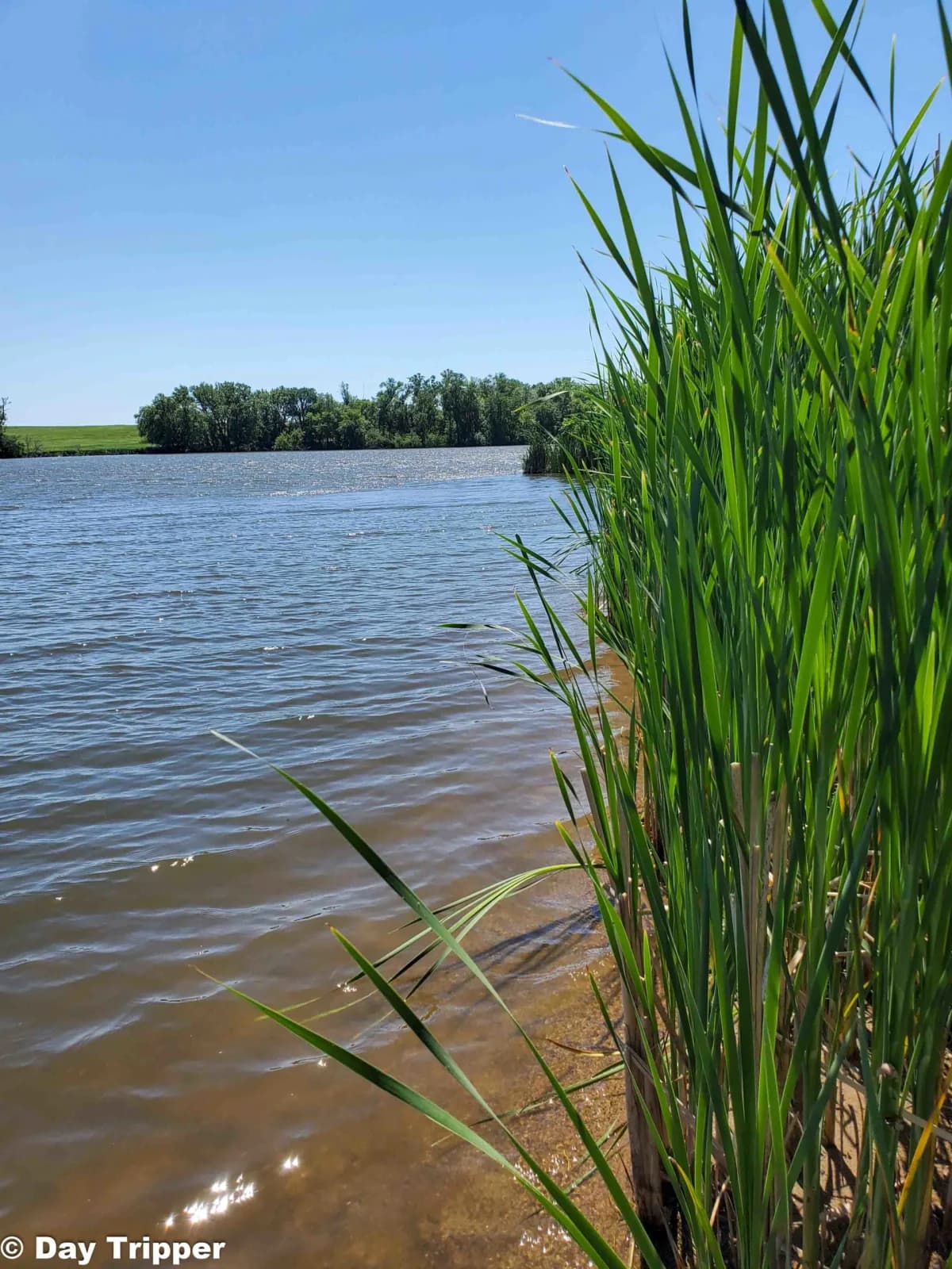Split Rock Lake Swim Beach swimming hole near Pipestone, Minnesota