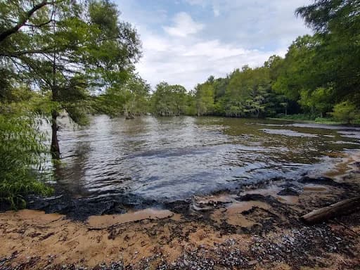 Indian Bluff Recreation Park swimming hole near Eutawville, South Carolina