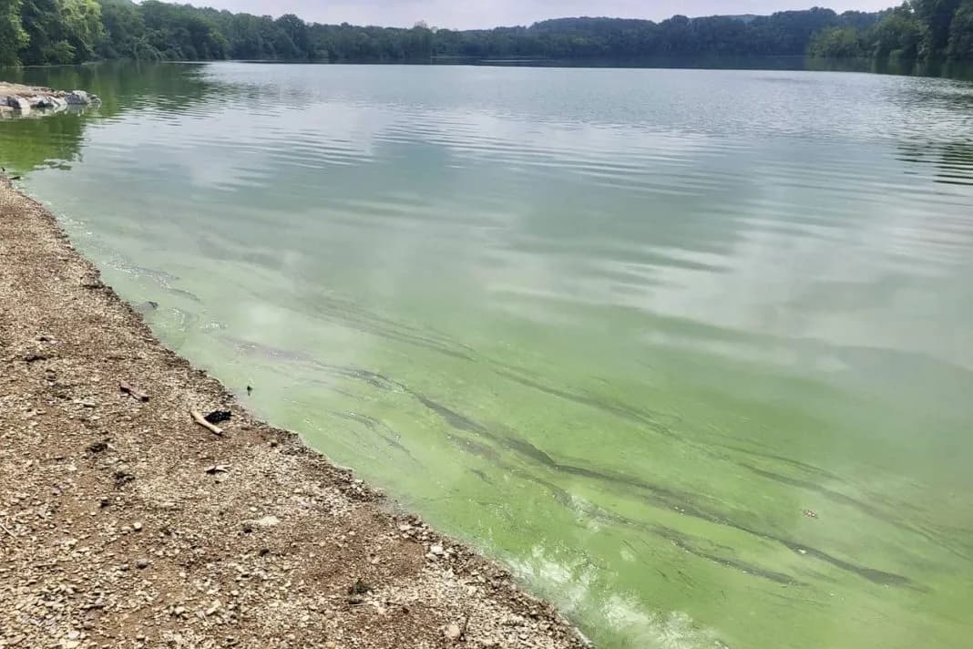 Swim Beach, Blue Marsh Lake swimming hole near Bernville, Pennsylvania