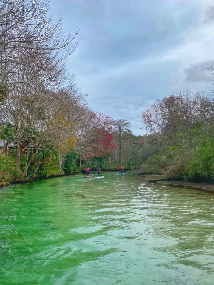 Roger's Park swimming hole near Spring Hill, Florida