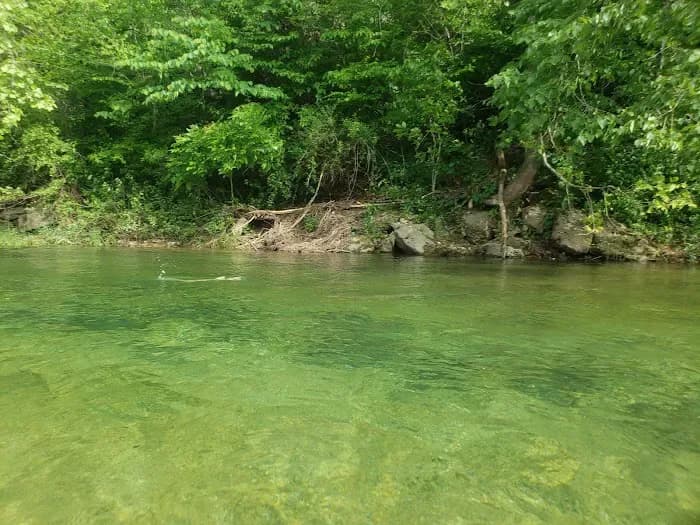 Sutton Bluff Recreation Area swimming hole near Centerville, Missouri
