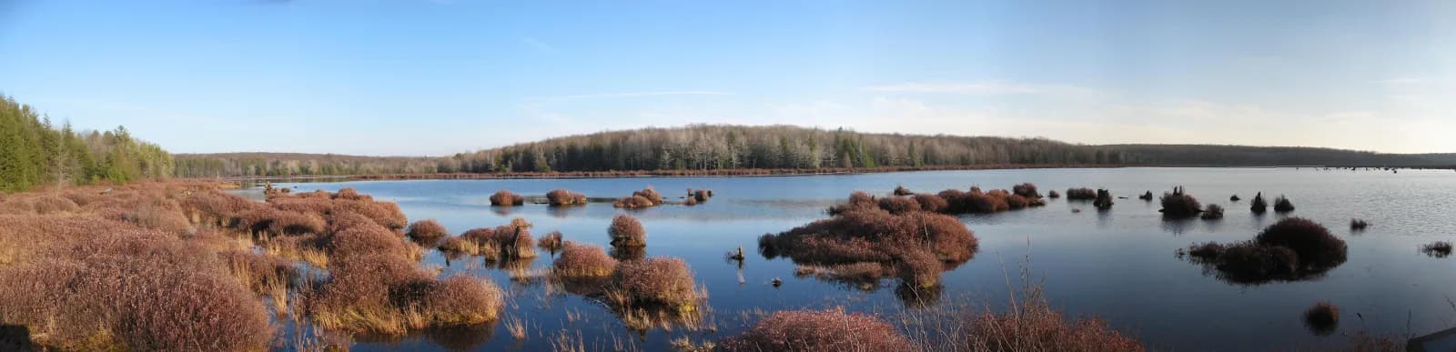 Black Moshannon State Park swimming hole near Philipsburg, Pennsylvania