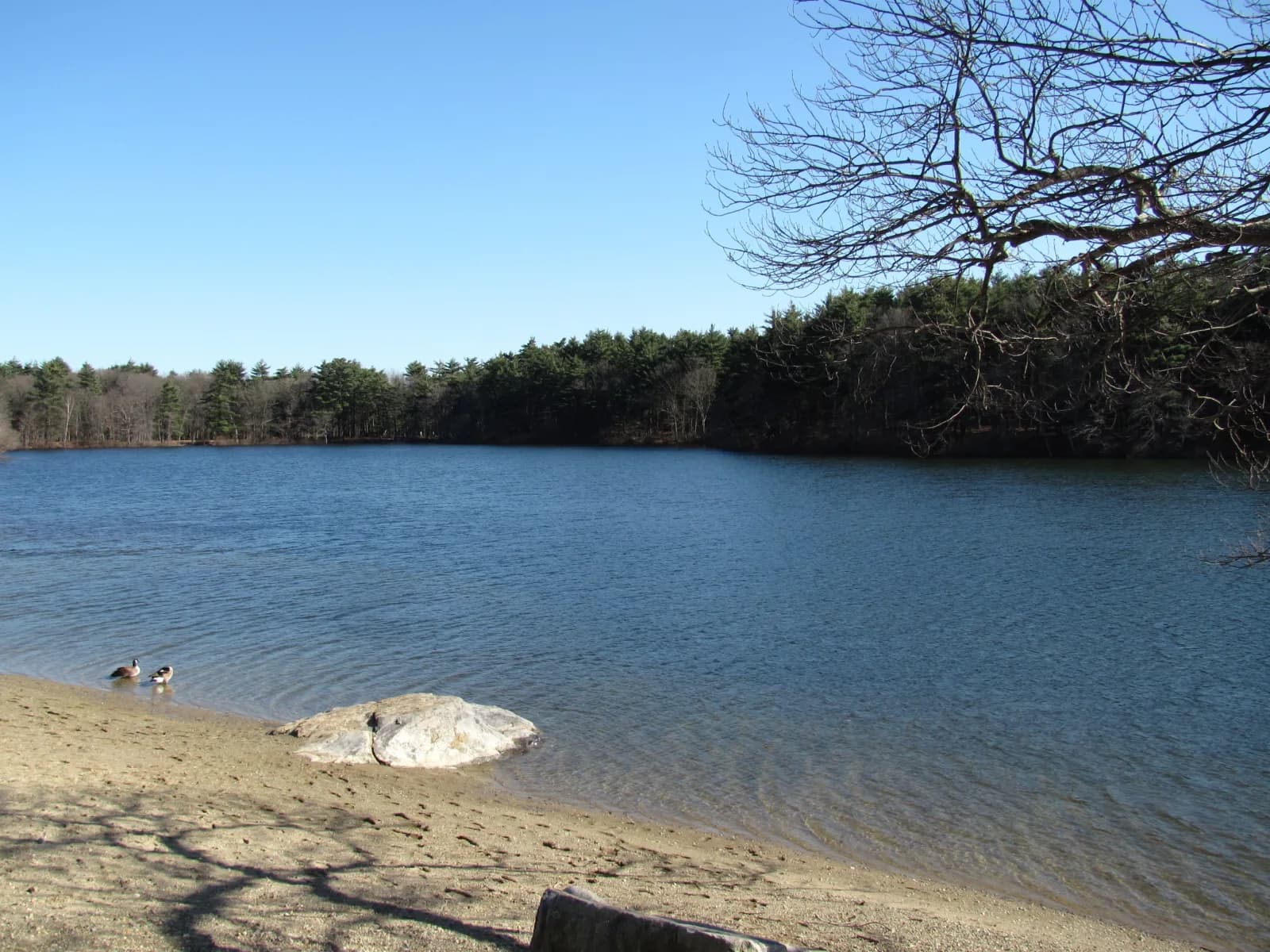 Houghton's Pond Beach swimming hole near Milton, Massachusetts