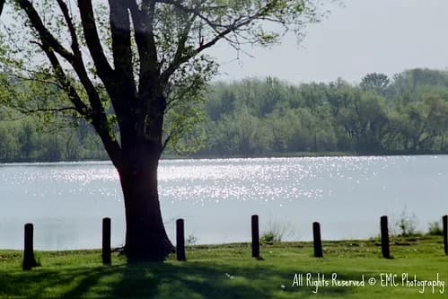 Lake Miola Swim Beach swimming hole near Paola, Kansas