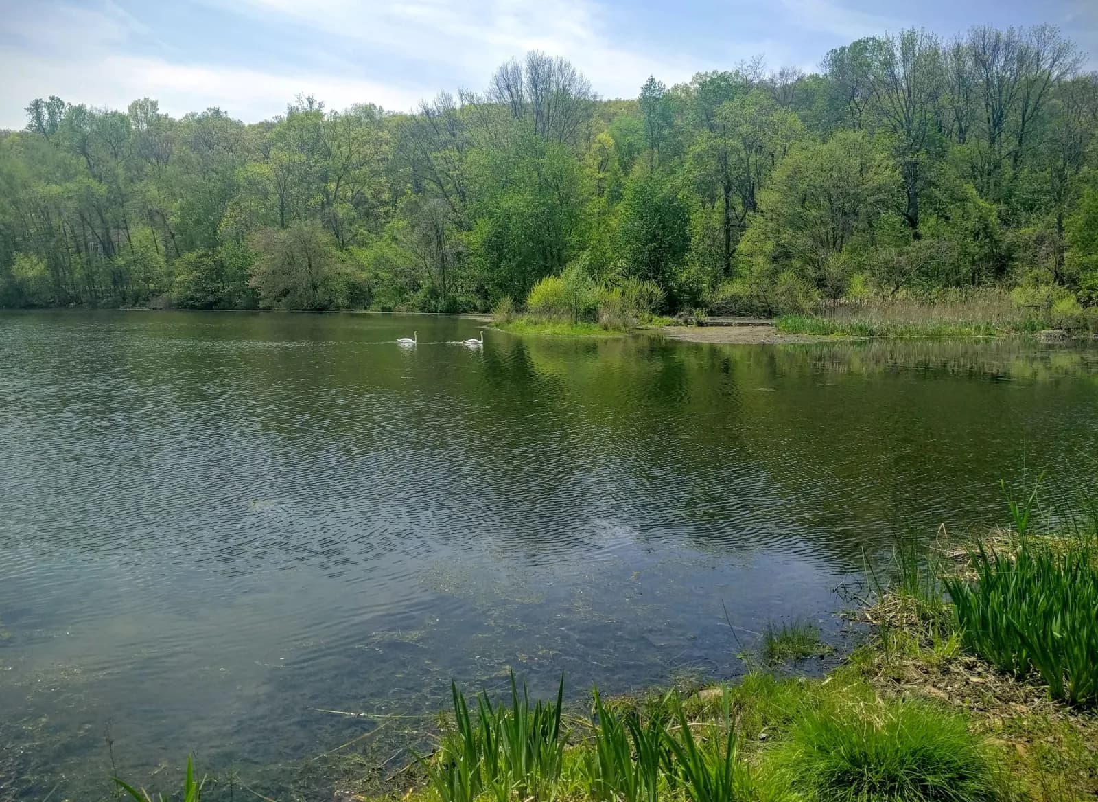 Parks Lake Beach swimming hole near Rockaway, New Jersey