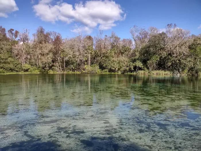 Alexander Springs Recreation Area swimming hole near Altoona, Florida
