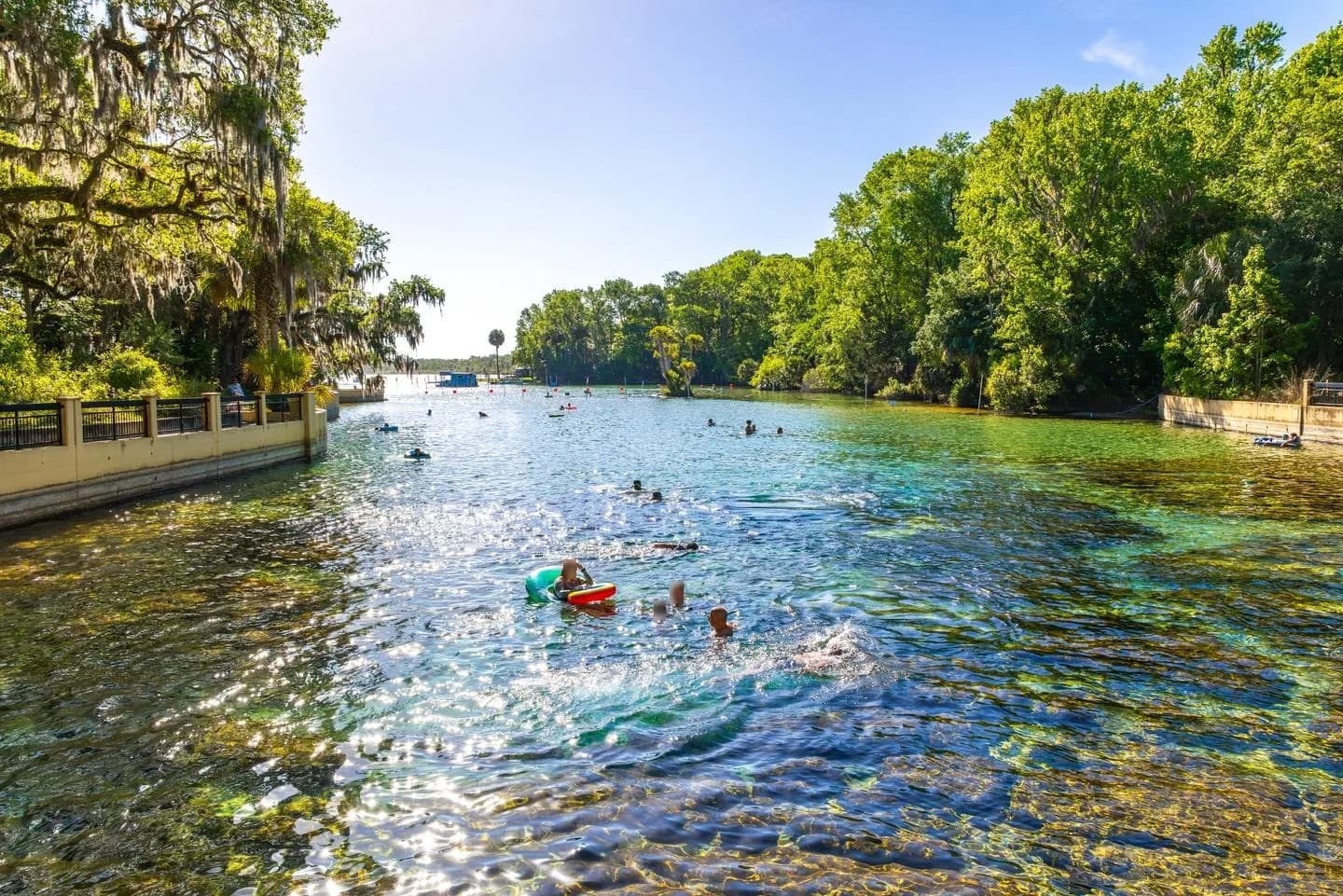 Salt Springs swimming hole near Fort McCoy, Florida