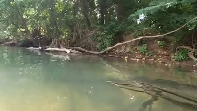 Cave Springs Swimming Hole swimming hole near Peggs, Oklahoma