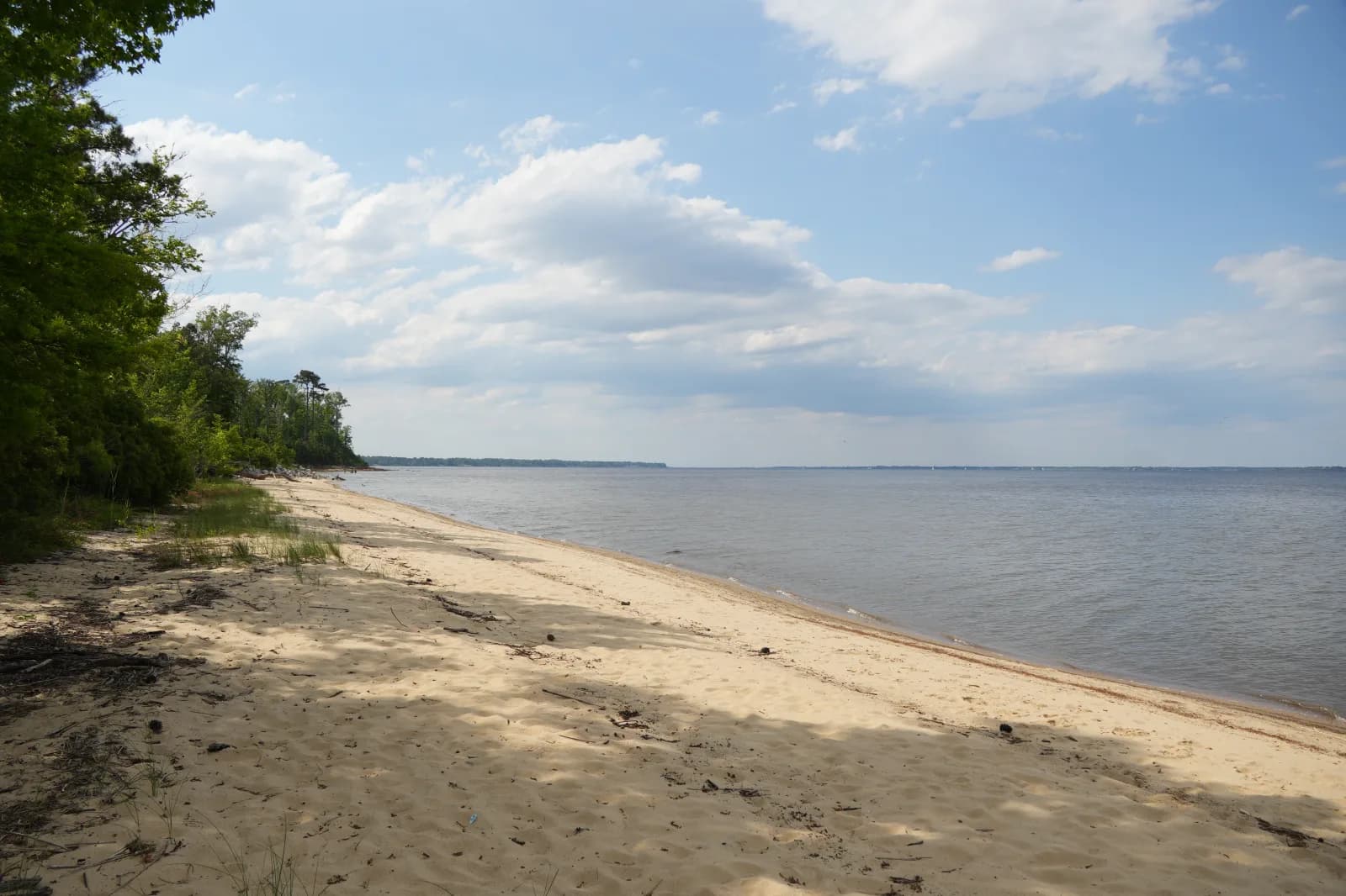 Neuse River Recreation Area swimming hole near New Bern, North Carolina