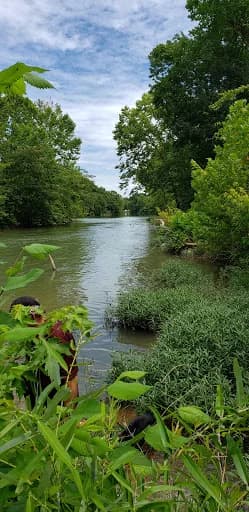 Buford Beach/Hardy swimming hole near Hardy, Arkansas
