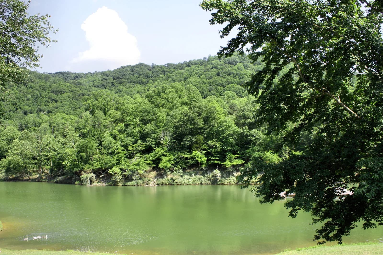 Buckhorn Lake State Resort Park swimming hole near Buckhorn, Kentucky