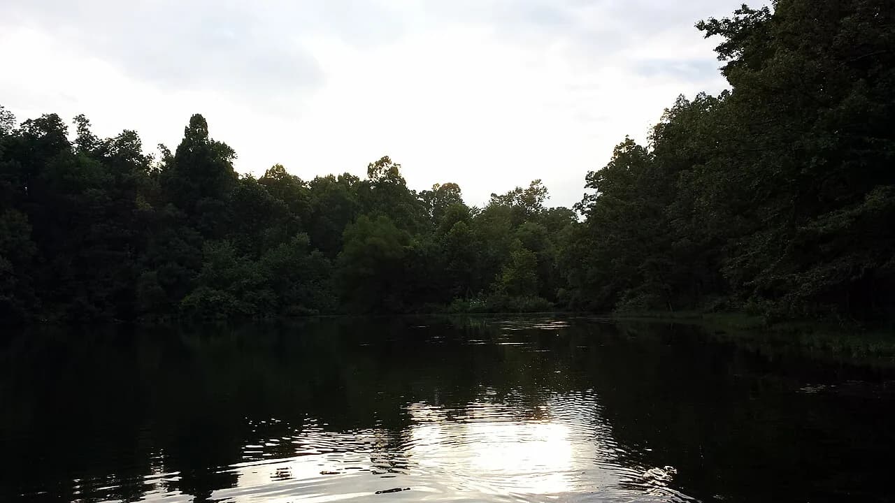Lake Wedington swimming hole near Fayetteville, Arkansas