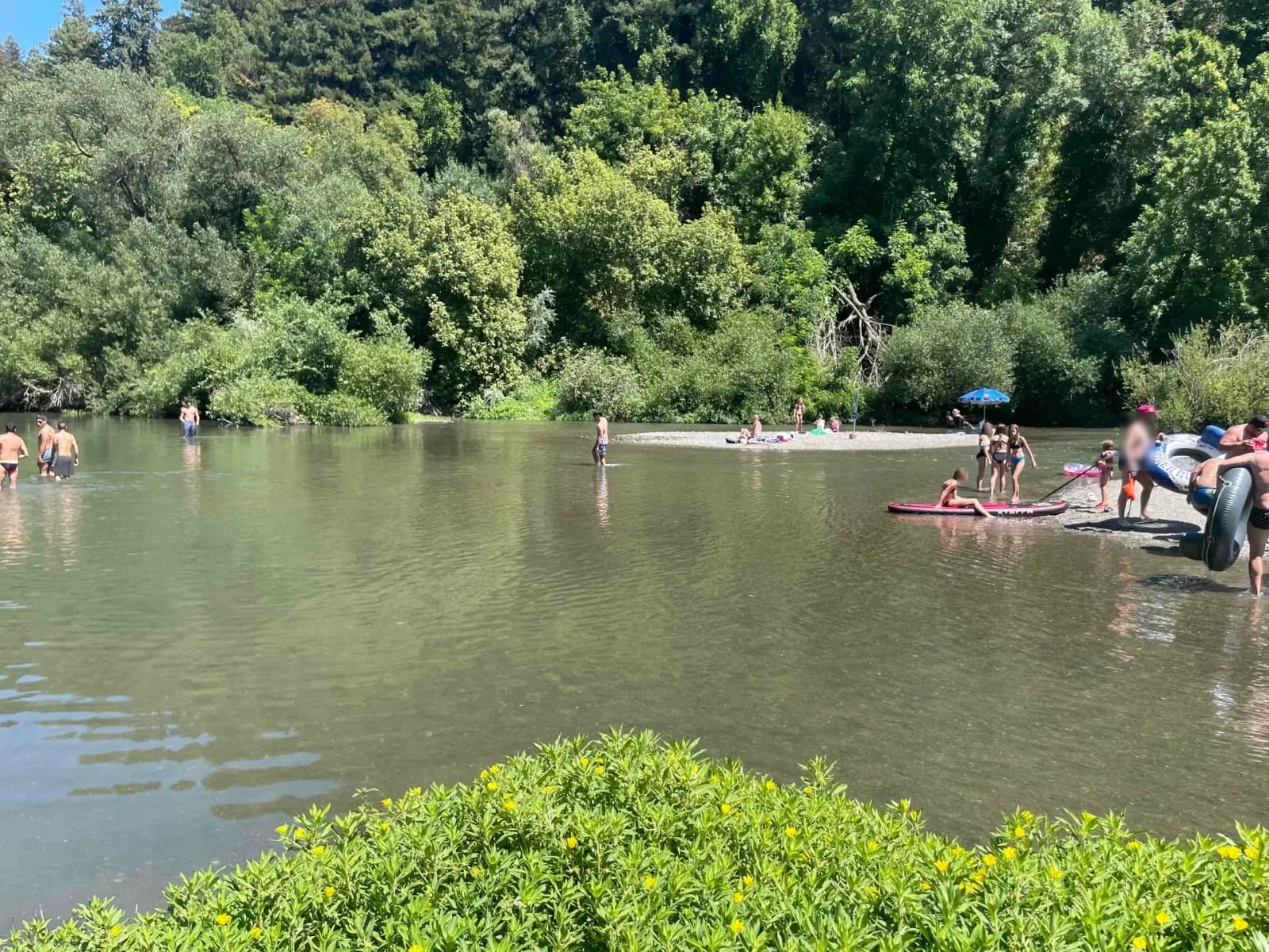 Sunset Beach River Park swimming hole near Forestville, California