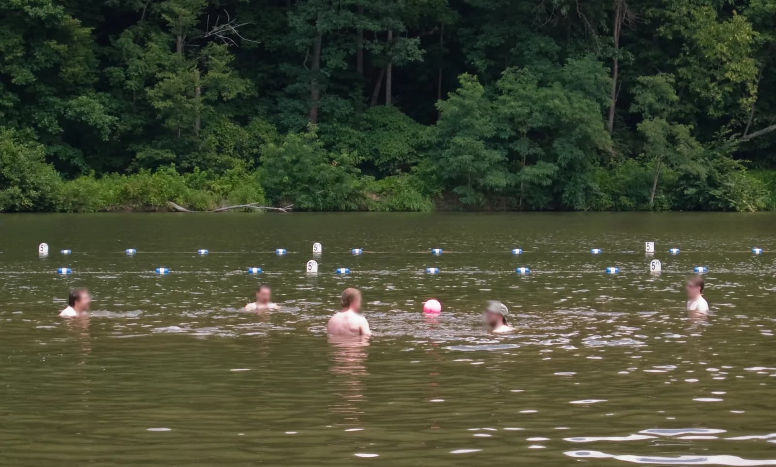 Beach area of Raccoon Creek State Park swimming hole near Clinton, Pennsylvania