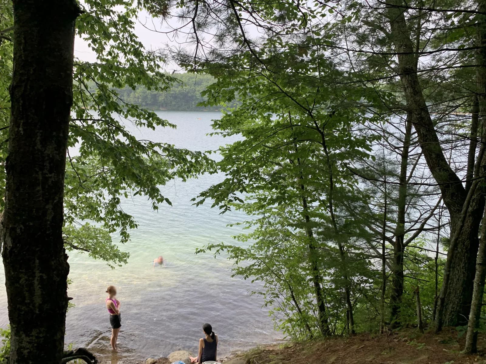 Walden Pond State Reservation swimming hole near Concord, Massachusetts
