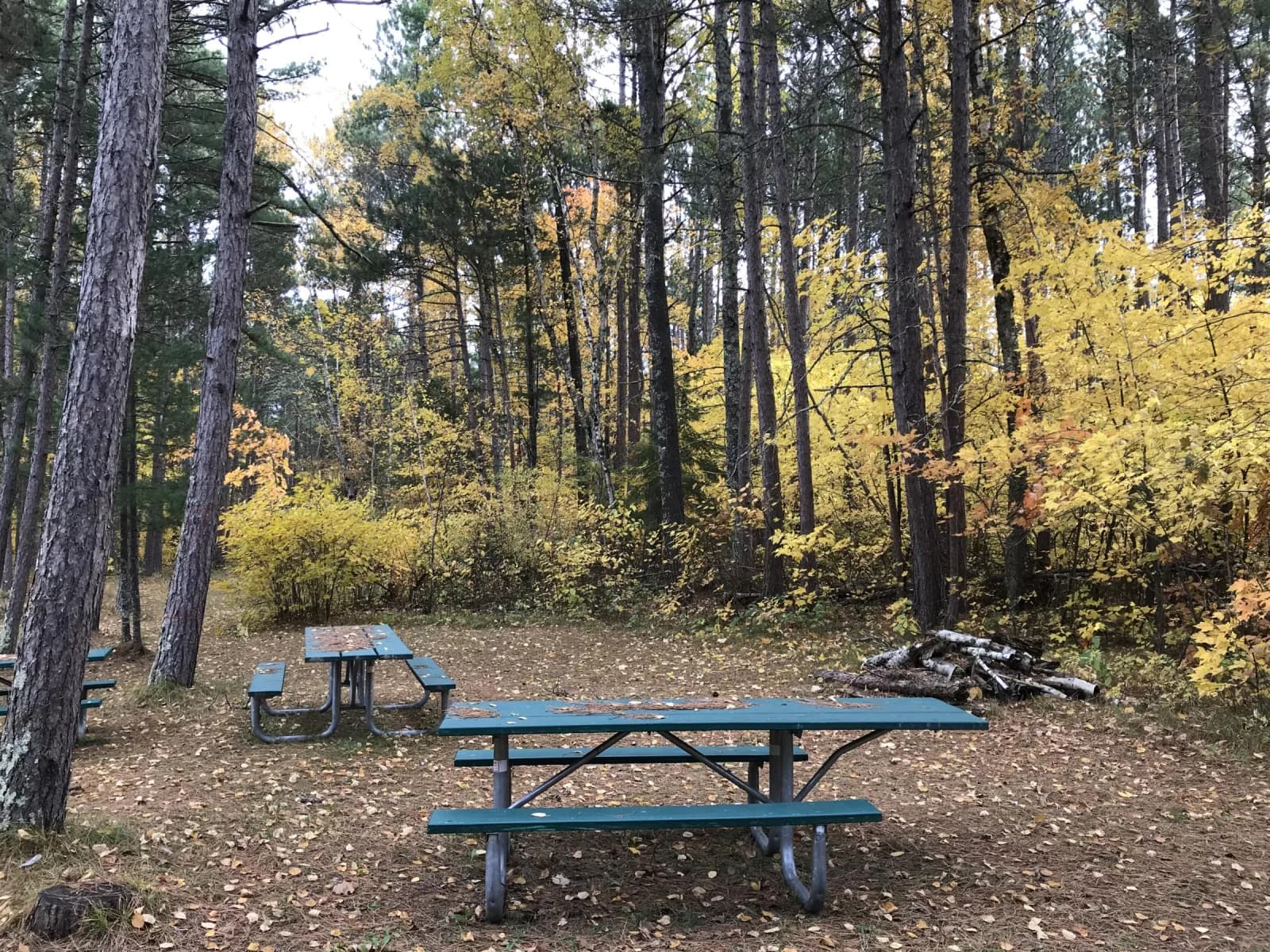 East Seelye Bay Campground swimming hole near Deer River, Minnesota