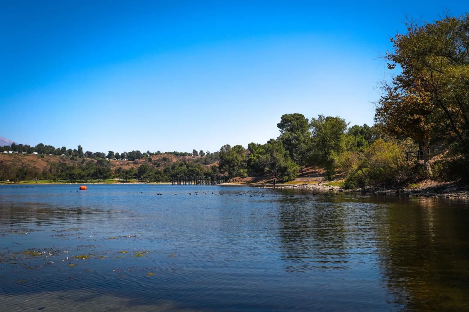 Bonelli Park Swim Beach Parking Lot swimming hole near San Dimas, California
