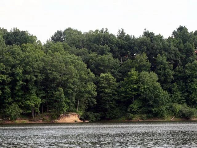 Burr Oak State Park Beach swimming hole near Glouster, Ohio