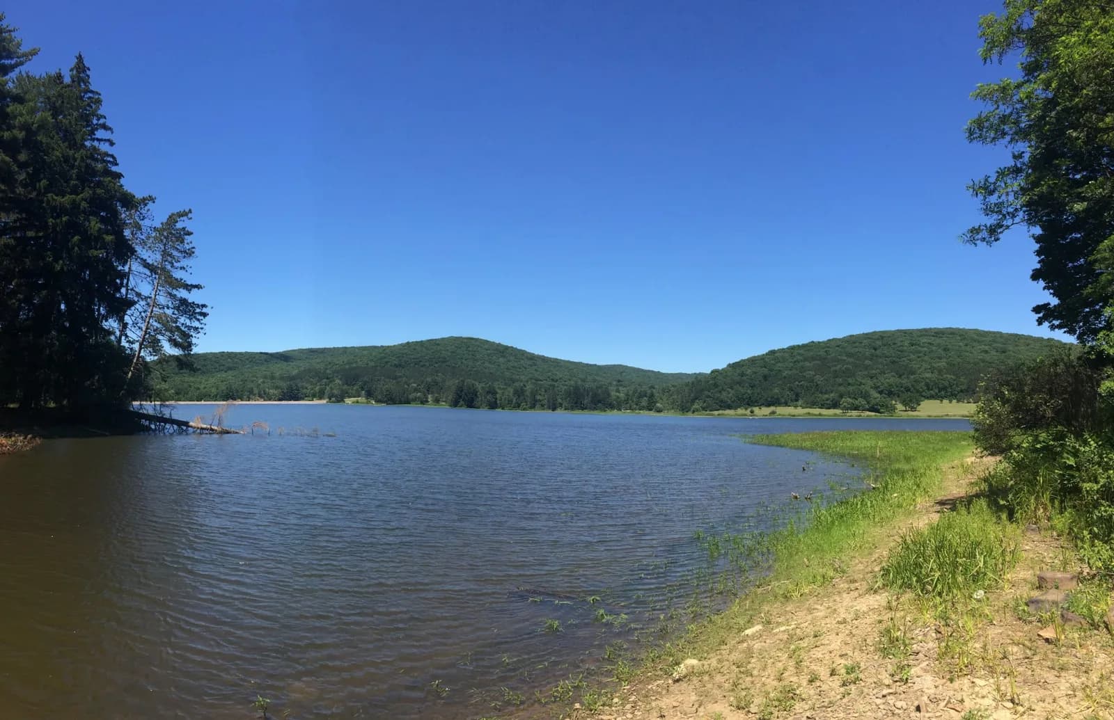 Red House Beach at Allegany State Park swimming hole near Salamanca, New York