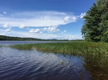 Brother's Beach at Shaker Pond swimming hole near Alfred, Maine