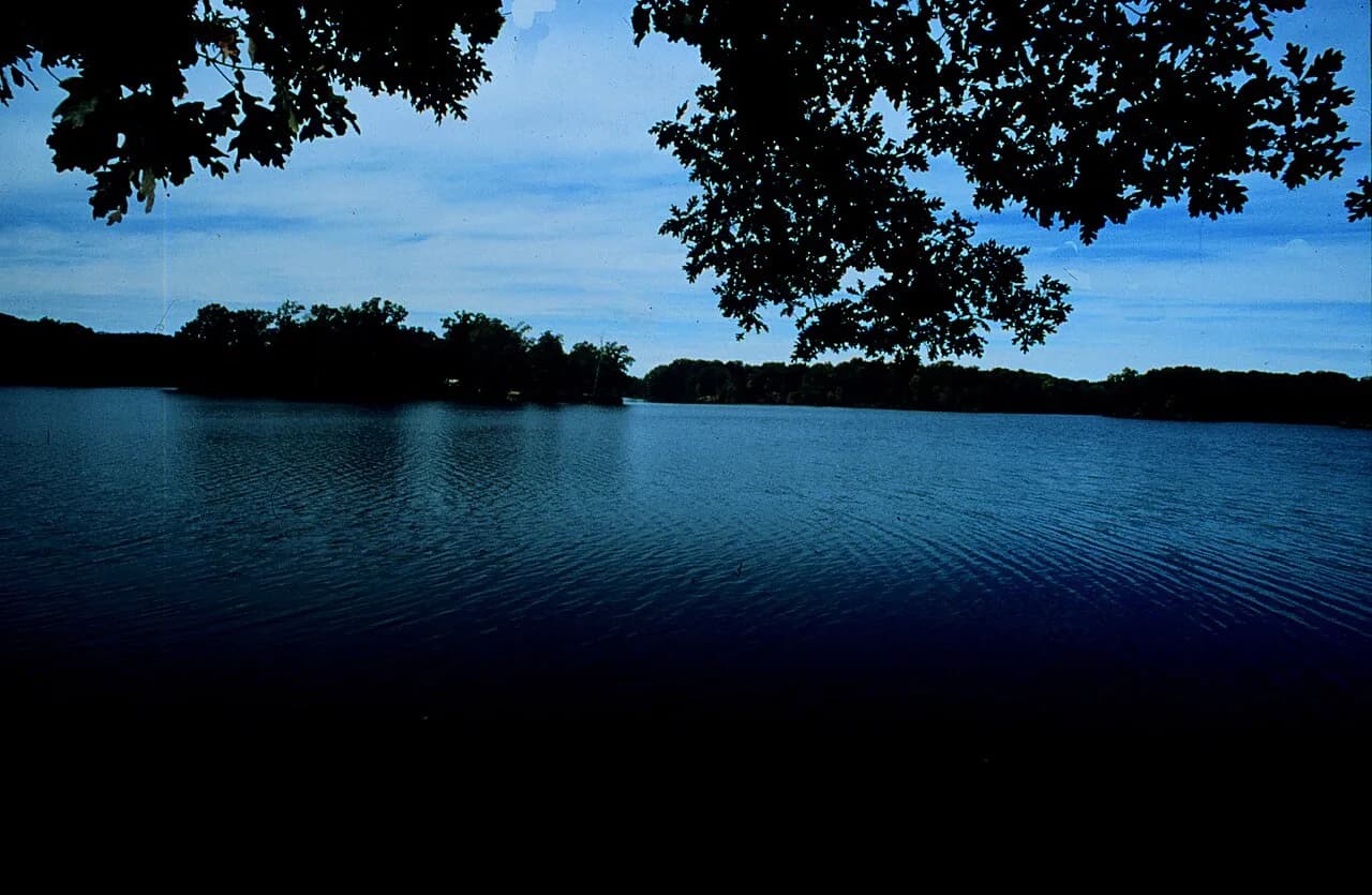 Bear Creek Swimming Area swimming hole near Marianna, Arkansas