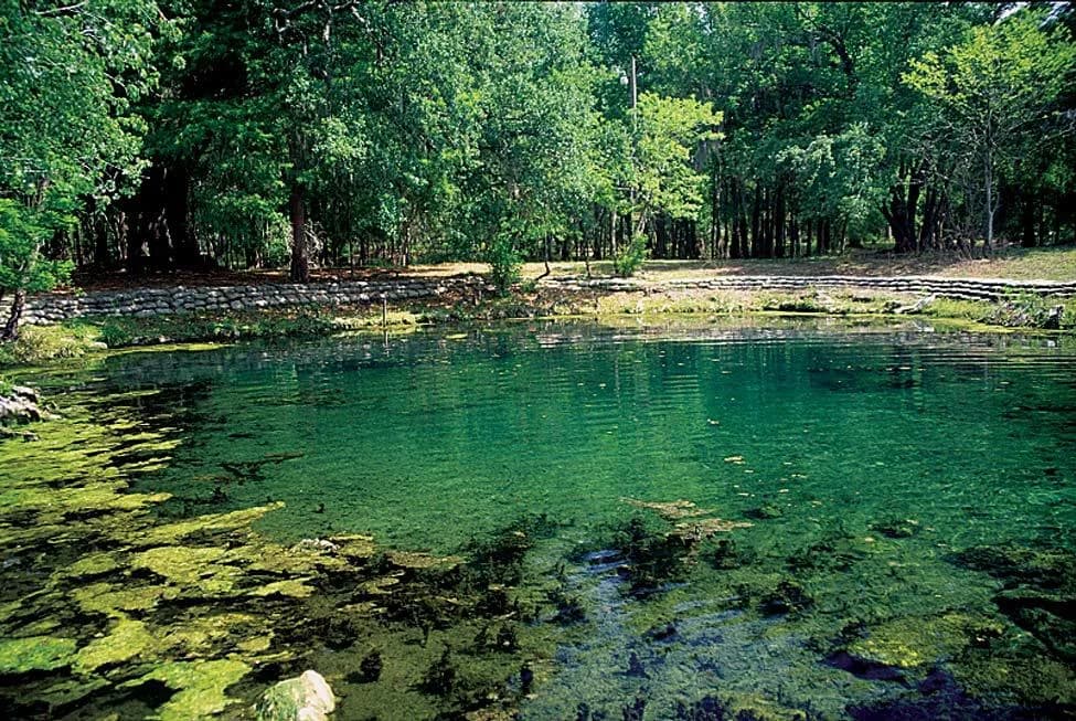 Otter Springs swimming hole near Wilcox, Florida