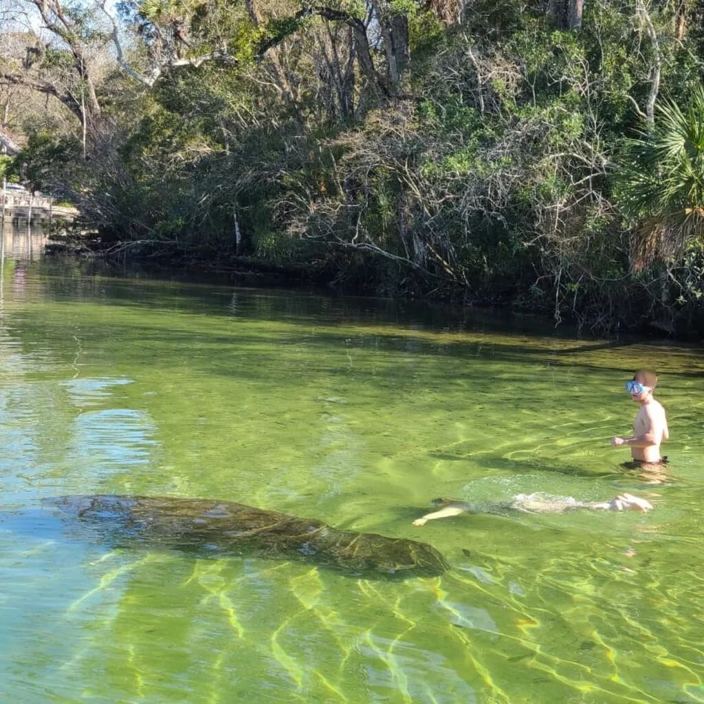 Hospital Hole swimming hole near Spring Hill, Florida