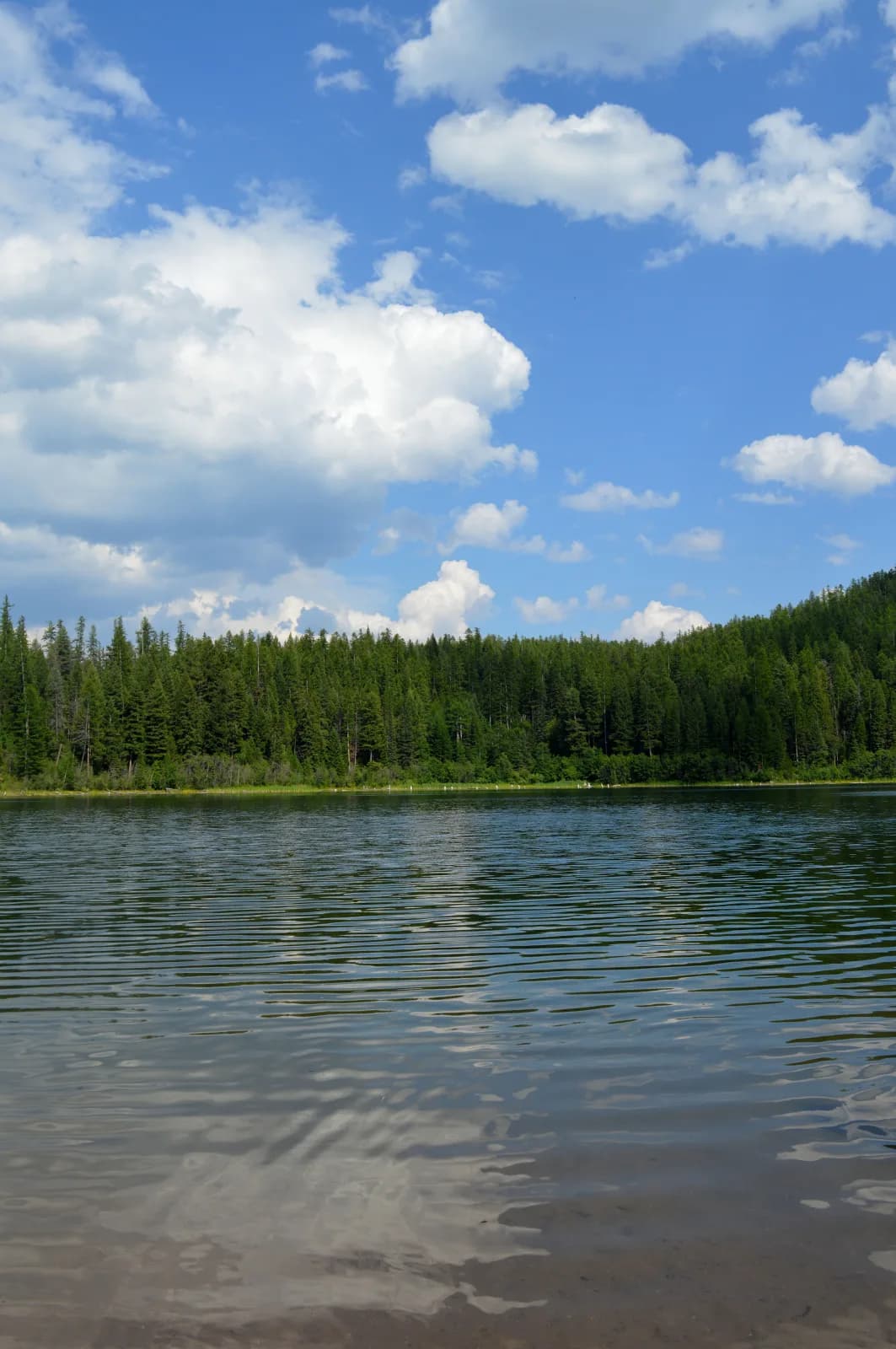Lion Lake swimming hole near Hungry Horse, Montana