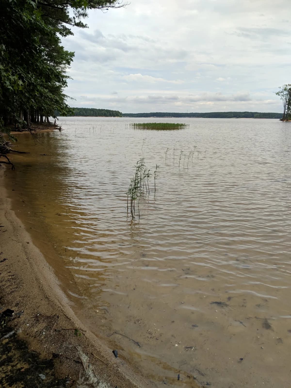 Parker's Creek Beach swimming hole near Pittsboro, North Carolina