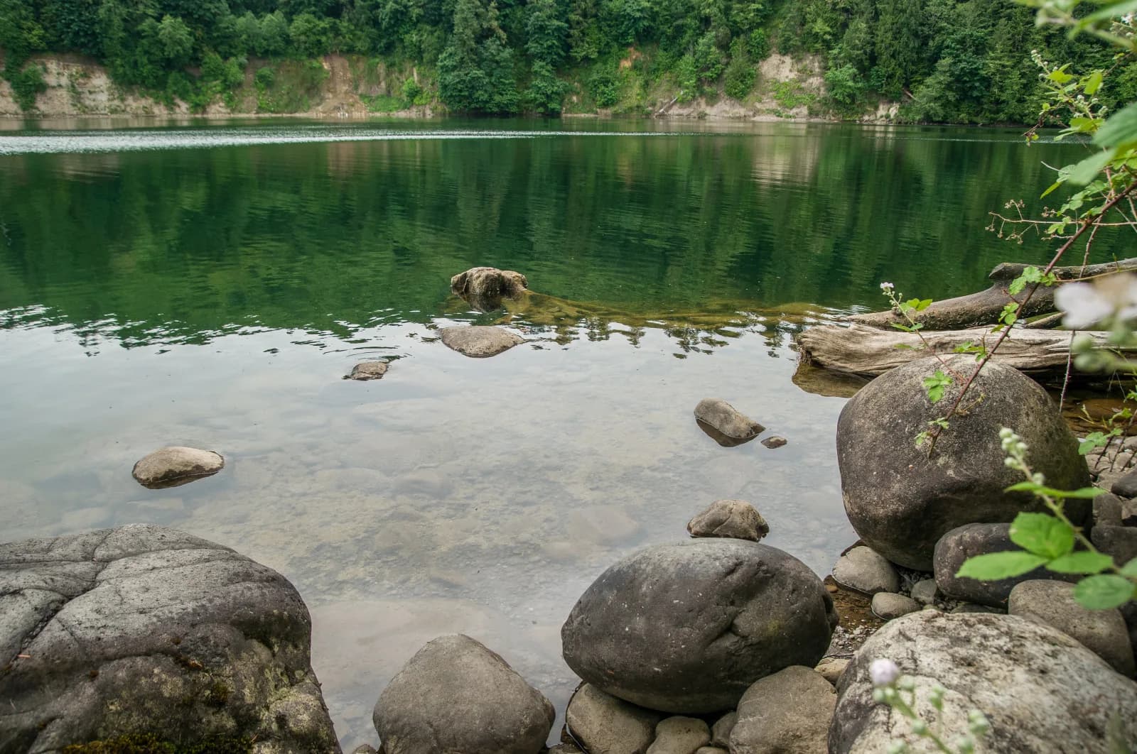 Ike Kinswa State Park Swim Area swimming hole near Silver Creek, Washington