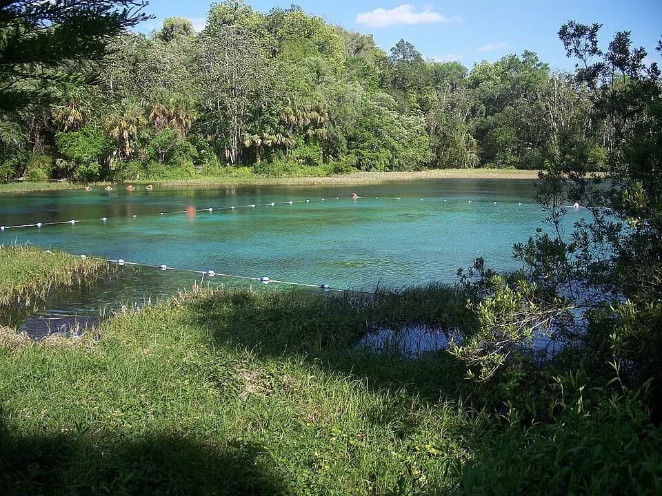 Rainbow Springs State Park swimming hole near Dunnellon, Florida