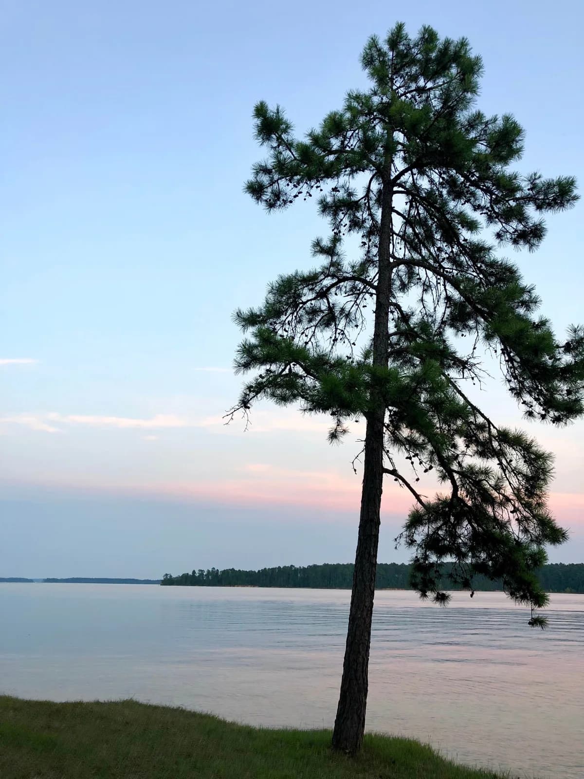 Points West Beach swimming hole near Appling, Georgia