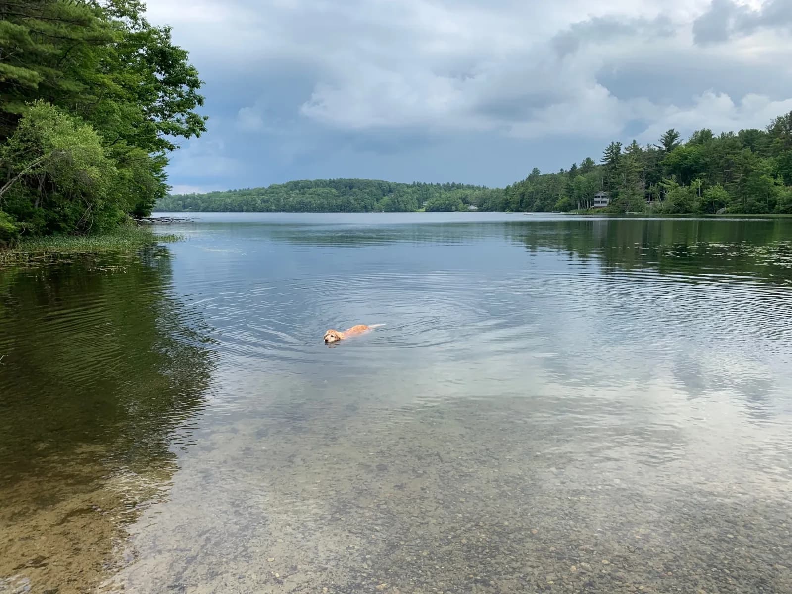 Gilmore Pond Beach swimming hole near Jaffrey, New Hampshire