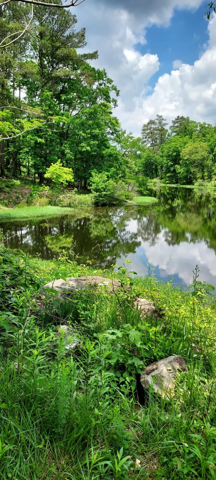 Coleman Lake Campground and Picnic Area swimming hole near Fruithurst, Alabama