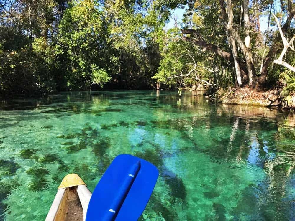 Weeki Wachee Springs State Park swimming hole near Spring Hill, Florida