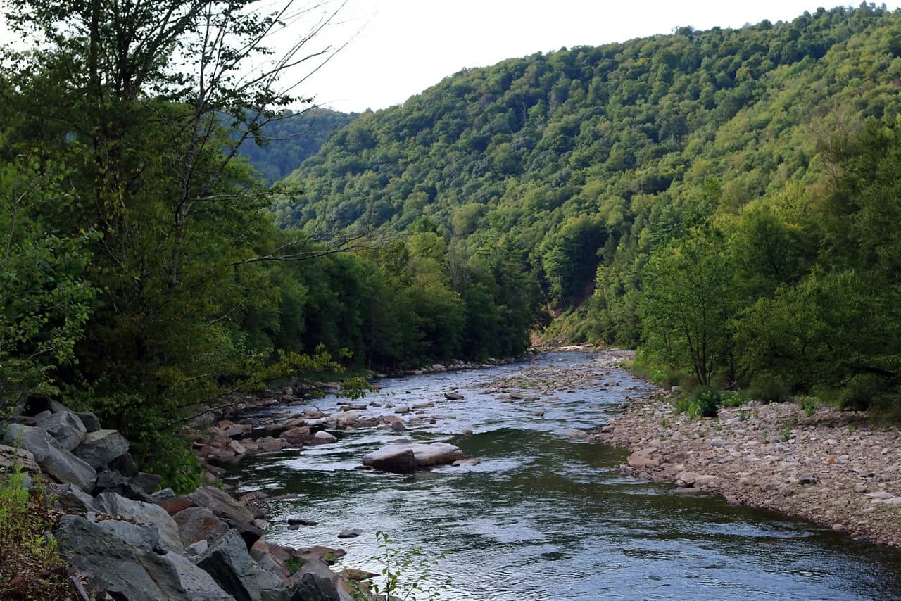 Worlds End State Park Visitors Center swimming hole near Forksville, Pennsylvania