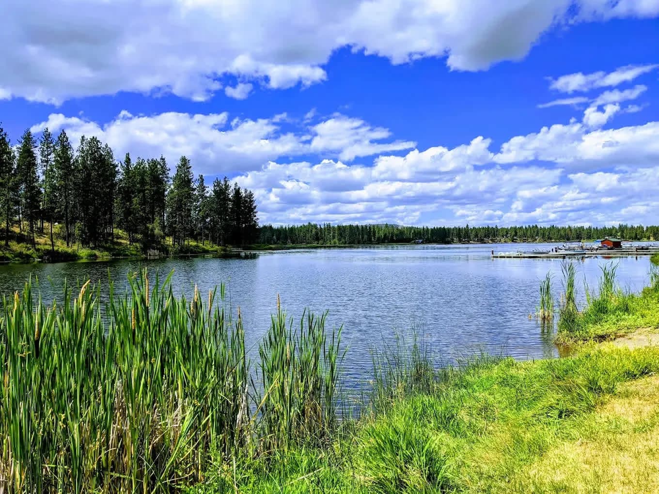 Clear Lake Military Resort swimming hole near Cheney, Washington