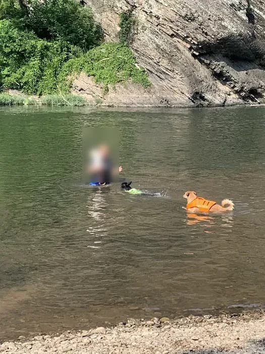 Milleson's Walnut Grove swimming hole near Springfield, West Virginia