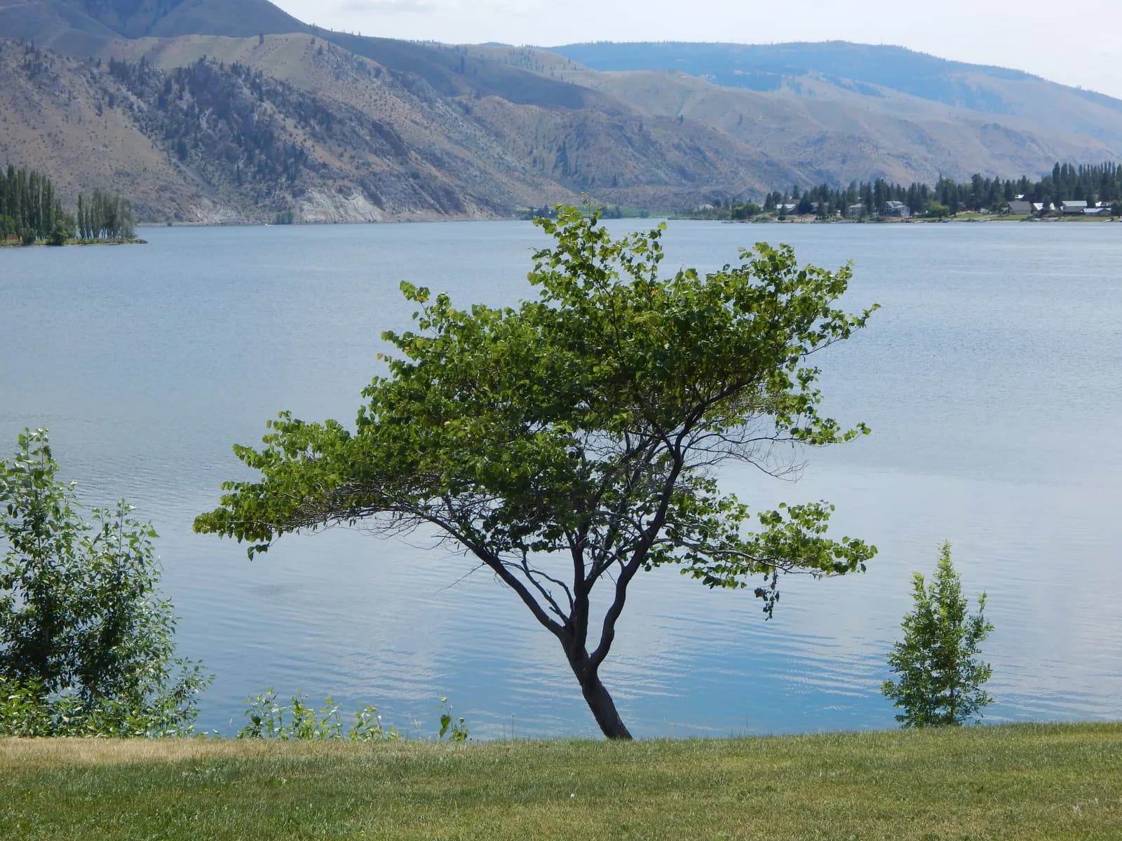 Daroga State Park swimming hole near Orondo, Washington